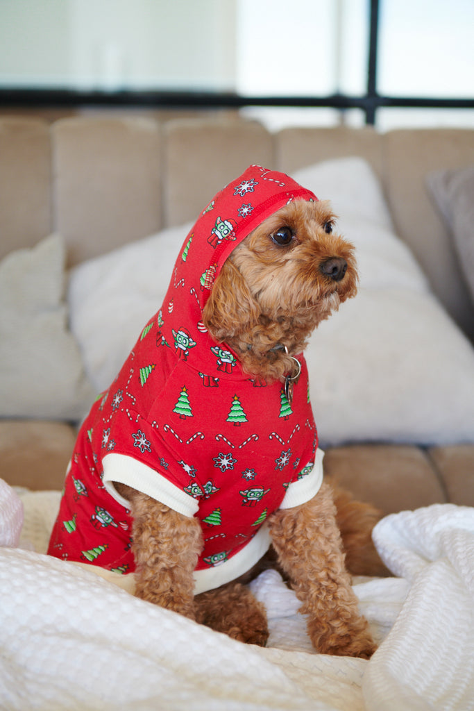 Christmas pajamas for buying dogs