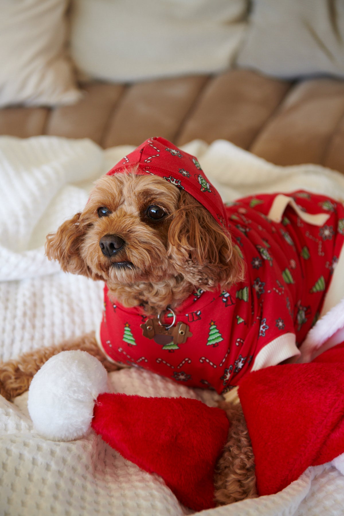 Doggo&#39;s Christmas Pyjamas